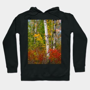 Fall colors Hoodie